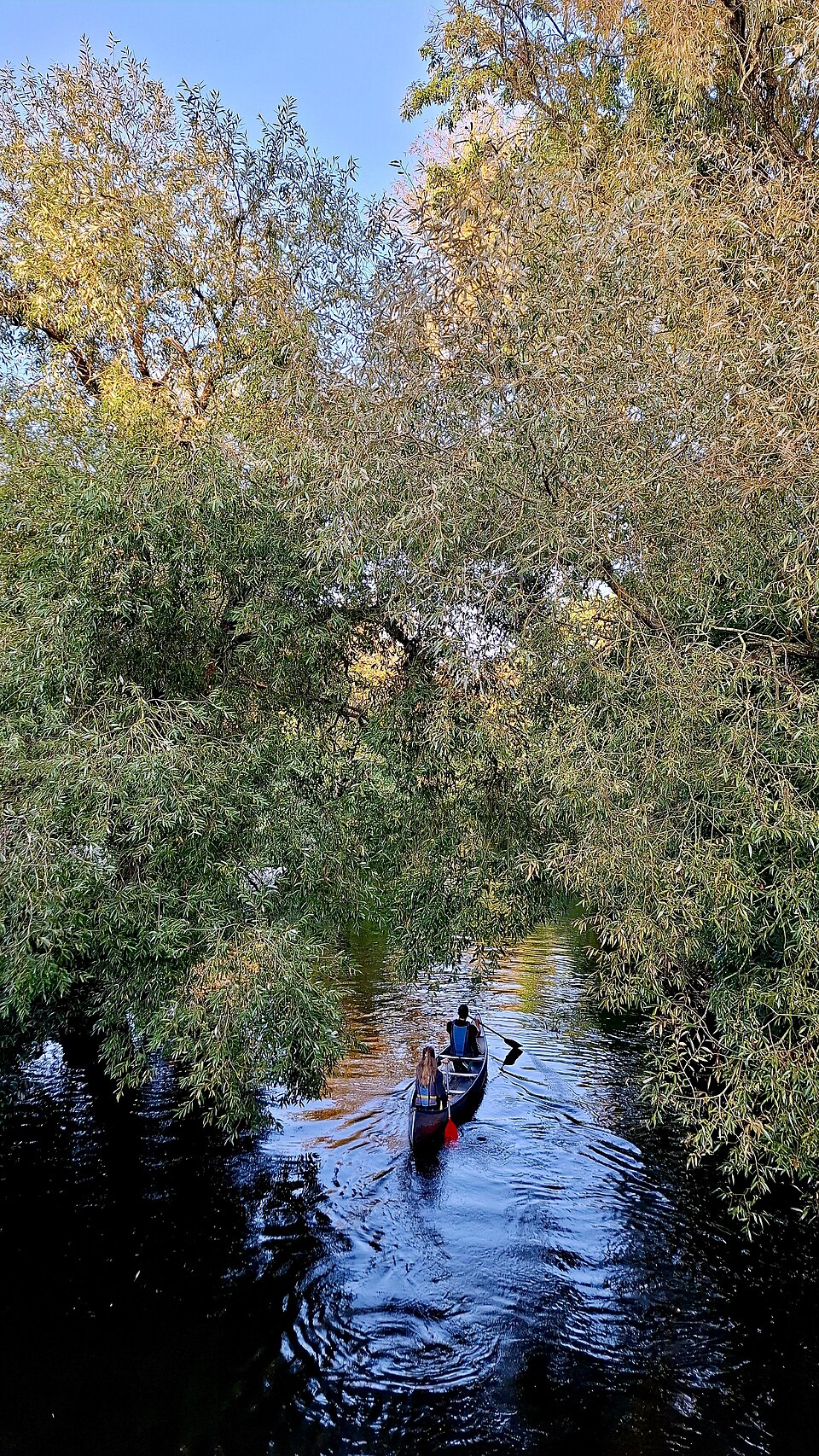 Paddeln durch herbstliche Flusslandschaft